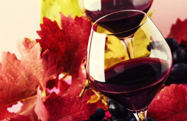 Halbherber Rotwein Großen Gläsern Herbst Stillleben Mit Roten Und Gelben — Stockfoto