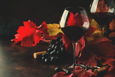 Pinot noir üzüm büyük gözlük kuru kırmızı şarap, kırmızı ve sarı sonbahar natürmort yaprakları koyu arka plan, düşük anahtar, seçici odak