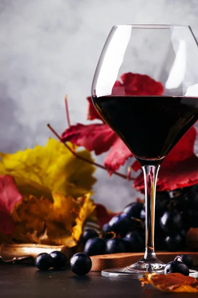 Vin Rouge Sec Grand Verre Nature Morte Automne Avec Des — Photo