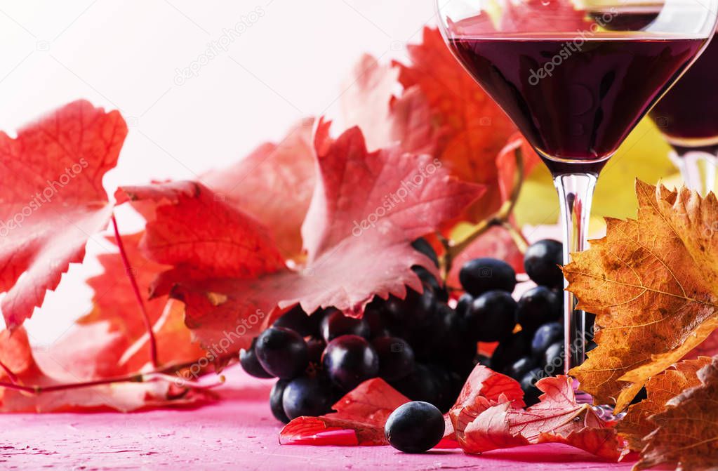 Semi-sweet red wine in large glasses, autumn still life with red and yellow leaves on pink background, selective focus