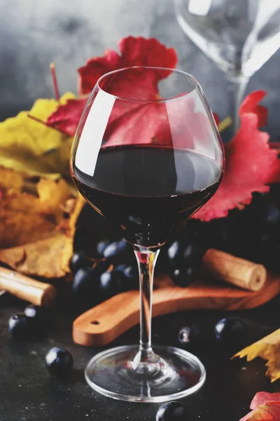 Trockener Rotwein Großen Glas Herbst Stillleben Mit Roten Und Gelben — Stockfoto