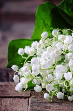 Antika ahşap masa, seçici odak beyaz kokulu zambaklar vadideki yaprakları ile buket bahar