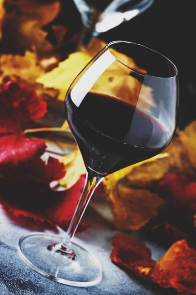 Büyük bardakta kurumuş kırmızı şarap, gri arka planda kırmızı ve sarı yapraklı sonbahar hayatı, şarap tatma, seçici odak