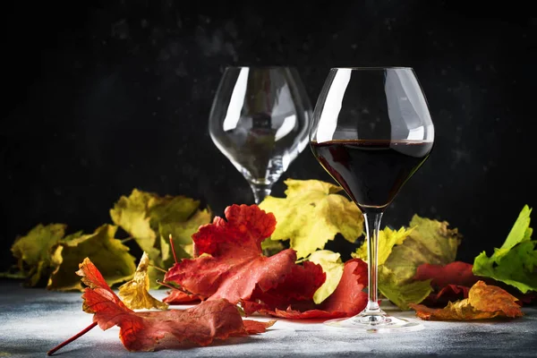 Dry red wine in large glass, autumn still life with red and yellow leaves on gray background, wine tasting, selective focus