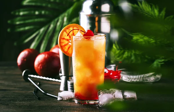 Summer Tequila Sunrise Cocktail Mit Silbertequila Grenadinensirup Orangen Und Eiswürfeln — Stockfoto