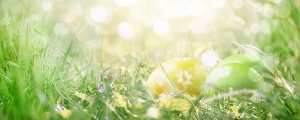 Uova Pasqua Erba Verde Primavera Natura Bordo Sfondo Con Posto — Foto Stock
