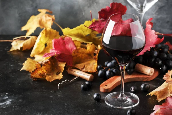 Rotwein Weinglas Herbststillleben Mit Roten Und Gelben Blättern Weinprobe Kopierraum — Stockfoto