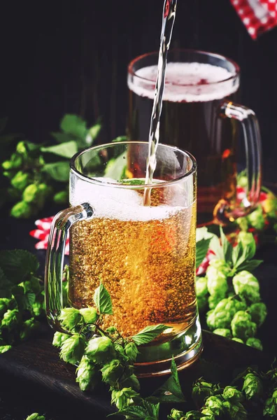 Große Becher Mit Deutschem Hellem Bier Und Frischem Hopfen Gießt — Stockfoto