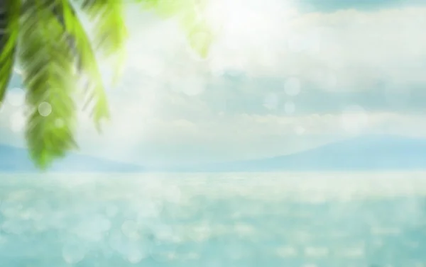 Размытый Летний Морской Тропический Синий Фон Пальмовыми Листьями Солнечными Лучами — стоковое фото