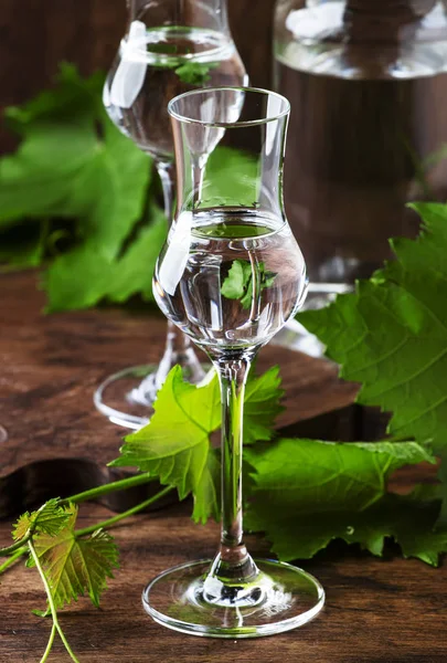 Traubenwodka Pisco Traditionelles Peruanisches Starkes Alkoholisches Getränk Eleganten Gläsern Auf — Stockfoto