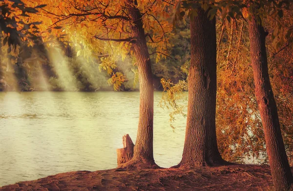 Herbst Rot Gelbe Landschaft Sonniger Tag See Selektiver Fokus — Stockfoto