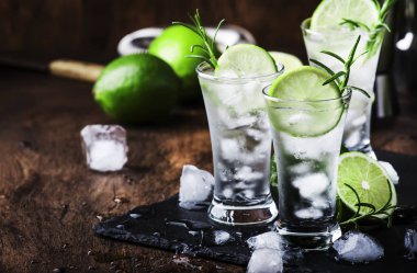 Limon, buz ve biberiyeli klasik cin tonik kokteyli. Klasik bar, akşam atmosferi, bar araçları