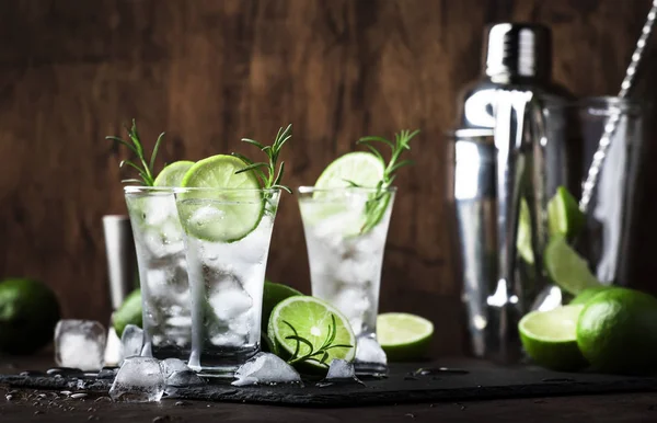 Klassischer Gin Tonic Cocktail Mit Limette Eis Und Rosmarin Vintage — Stockfoto