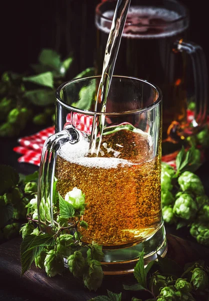 Große Becher Mit Deutschem Hellem Bier Und Frischem Hopfen Gießt — Stockfoto