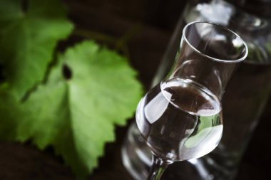 Üzüm votka, pisco - vintage ahşap masa, kopya alanı üzerinde zarif çekim bardak geleneksel Perulu güçlü alkollü içki