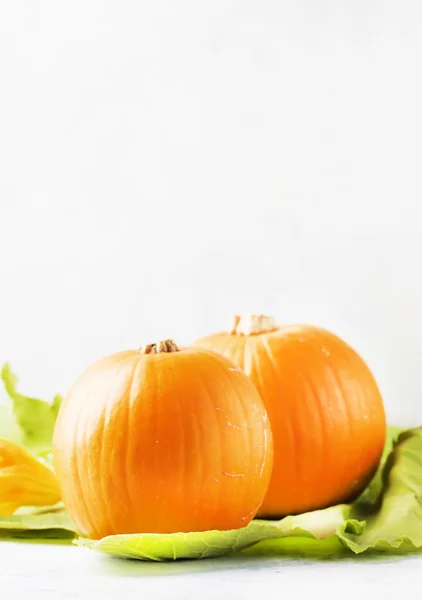 Autumn Harvest Pumpkins Flowers Leaves White Kitchen Table Copy Space — 스톡 사진