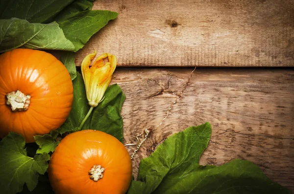 Herbst Holzhintergrund Mit Kürbissen Und Blättern Draufsicht Getöntes Bild Mit — Stockfoto