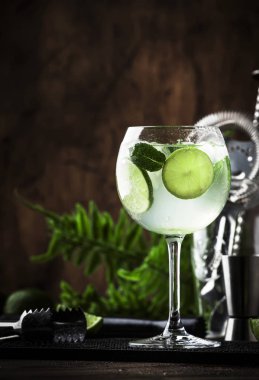 Kraliyet mojito, bar araçları ile şarap cam beyaz rom, prosecco, kireç, nane ve buz ile alkollü kokteyl