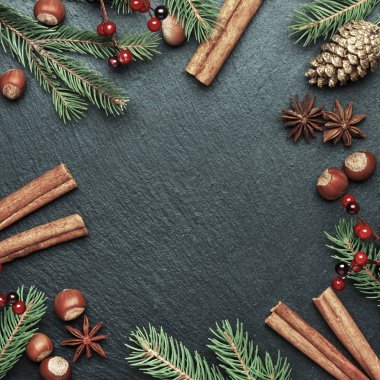 Noel ve yeni yıl koyu arka plan, çerçeve, şablonla Festival süsleri, kış baharat ve Noel süsleri, fındık ve çam dalları, üstten görünüm