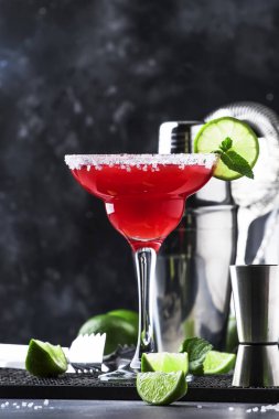 Karpuz margarita, gümüş tekila ile alkollü kokteyl, limon suyu, nane, karpuz ve ezilmiş buz, metal bar araçları, gri arka plan