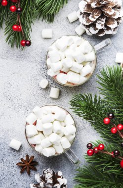 Kakao, çikolata ve marshmallow ile sıcak kış içeceği cam bardak gri arka plan, üst görünüm, kopya alanı