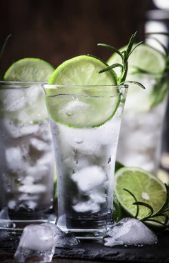 Kireç, buz ve biberiye ile klasik cin tonik kokteyl. Vintage bar, bar aletleri. Kopyalama alanı ile