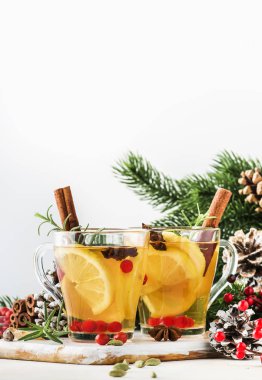 Limon ile Kış sıcak çay, kızılcık, otlar ve Baharatlar Noel veya Yeni Yıl akşamı için, beyaz arka plan, kopya alanı, seçici odak