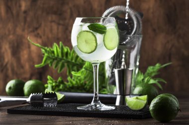 Kraliyet mojito, bar araçları ile şarap cam beyaz rom, prosecco, kireç, nane ve buz ile alkollü kokteyl