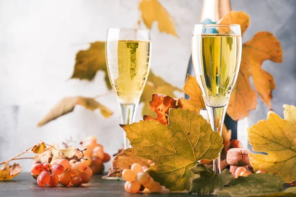 Champagne Vin Glas Bakgrund Höstens Stilleben Vinprovningskoncept — Stockfoto