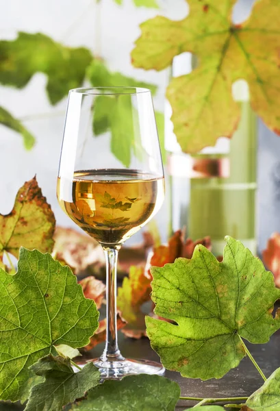 Glas Vitt Vin Och Vin Flaska Närbild Vinodlarna Över Abstrakt — Stockfoto