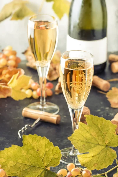 Champagne Vin Glas Bakgrund Höstens Stilleben Vinprovningskoncept — Stockfoto