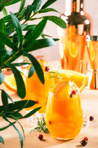 Oranje Cocktail Met Cranberry Rozemarijn Ijs Alcoholische Alcoholvrije Drank Kopieerapparaat — Stockfoto