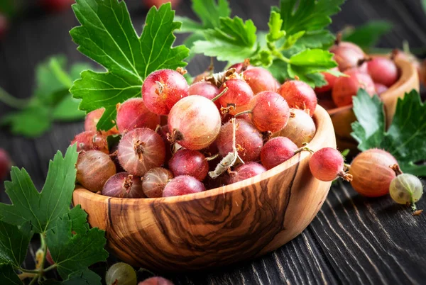 Gooseberry Manis Musim Panas Panen Mangkuk Kayu Meja Latar Belakang — Stok Foto