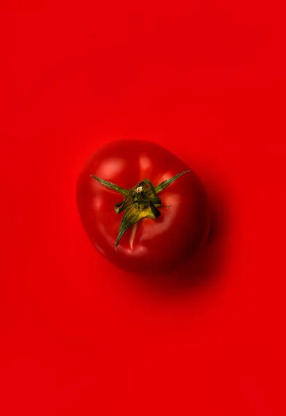 Big red tomato on bright red background, top view