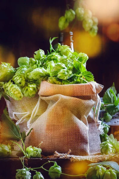 キャンバスバッグでホップコーン収穫 選択的フォーカス — ストック写真