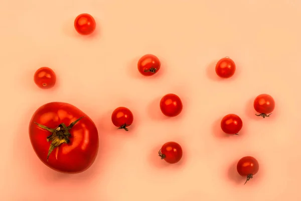 Big Cherry Red Tomatoes Pink Background Top View — Stock Photo, Image