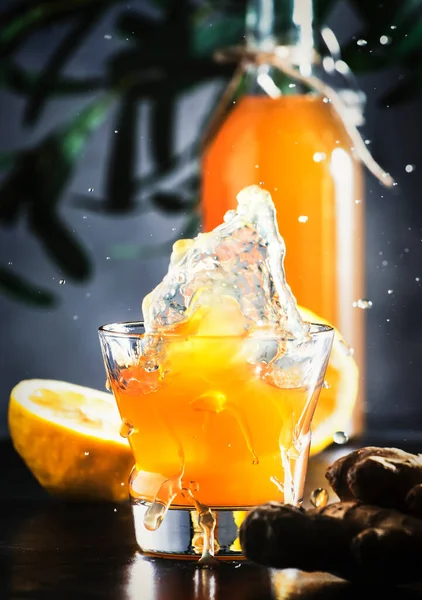 Σπιτικά Ζυμωμένα Ωμά Kombucha Splash Τζίντζερ Και Λεμόνι Ποτό Superfood — Φωτογραφία Αρχείου