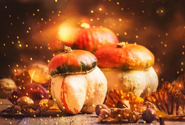 Happy Thanksgiving Day background, wooden table decorated with Pumpkins with light bokeh garland. Halloween concept. Beautiful Holiday Autumn Composition