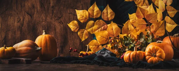 Thanksgiving Pompoenen Kaneel Dennenappels Rustieke Houten Tafel Achtergrond Herfst Thanksgiving — Stockfoto