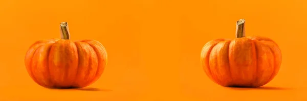 오렌지의 할로윈 추수감사절 컨셉트 오렌지 배경에 호박이 모노크롬 이미지 현수막 — 스톡 사진