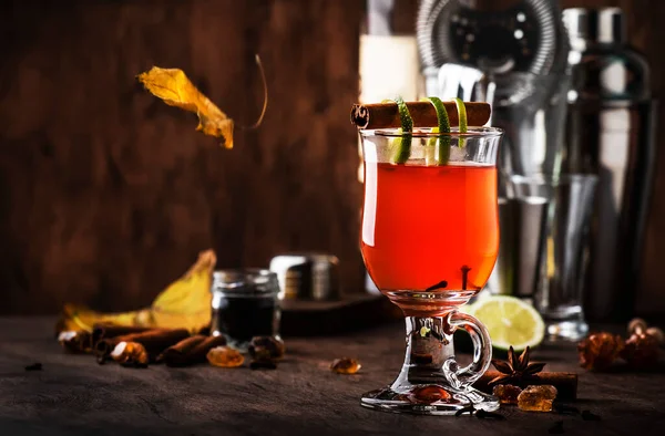 Hot Rum Punch Grog Autumn Winter Warming Alcoholic Cocktail Dark — Stock Photo, Image