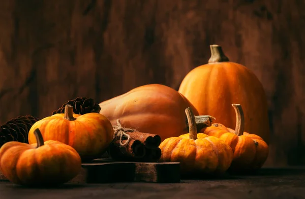 Thanksgiving Kürbisse Zimt Und Tannenzapfen Auf Rustikalem Holztisch Herbst Erntedank — Stockfoto