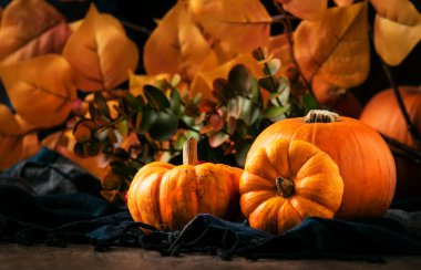 Şükran Günü Balkabakları Kırsal Ahşap Masa Arkaplanında - Sonbahar Şükran Günü veya Hasat Festivali Konsepti