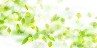 Taze yeşil yapraklar Gökyüzü arka planı