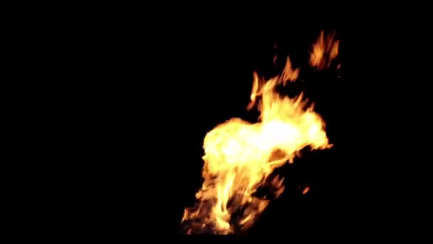 Feu sur fond noir. — Video