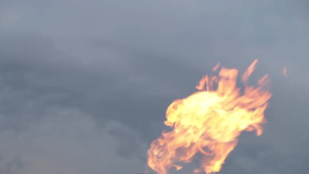 Flame of fire against the sky. — Stock Video
