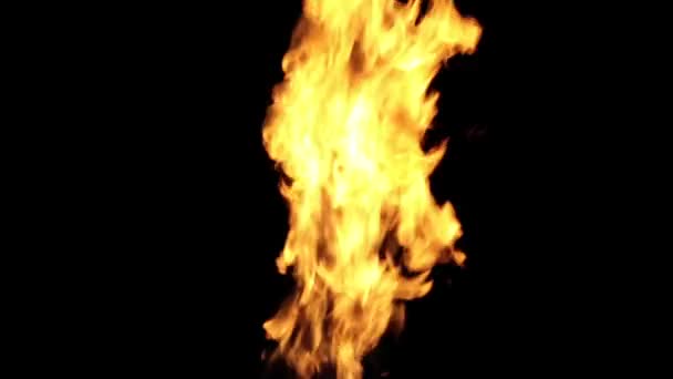 Flamme de feu sur fond noir. — Video