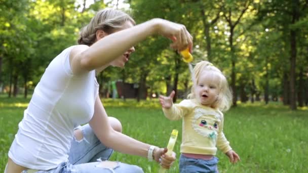 Bir kadın ve bir çocuk parkta bir sabun köpüğü üfleme. — Stok video