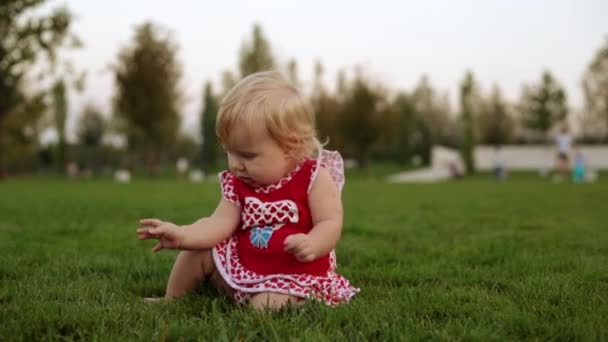 一个小孩正坐在公园的草地上。. — 图库视频影像