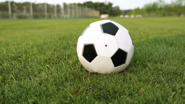 Un uomo sta prendendo a calci un pallone da calcio nel parco . — Video Stock